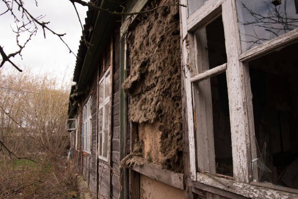 Does Homeowners Insurance Cover Asbestos Removal? 1 An old, abandoned house featuring a broken door and a window, with a sign indicating asbestos removal.